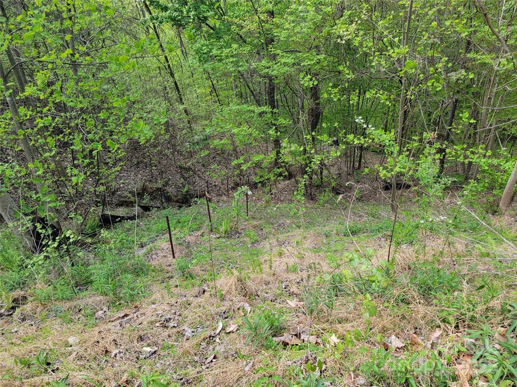 0 Cian Drive, Union Mills, NC 28167