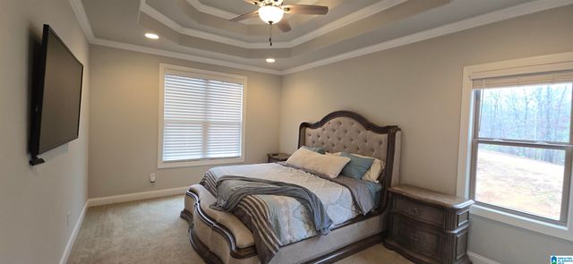 924 ASTER PLACE, Helena, AL 35022