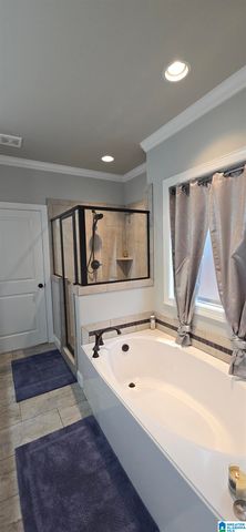 924 ASTER PLACE, Helena, AL 35022