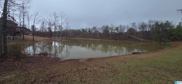 924 ASTER PLACE, Helena, AL 35022