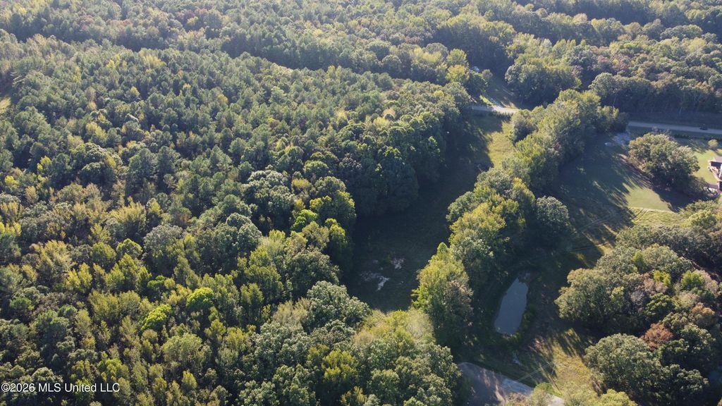 Scattered Oaks Cove, Byhalia, MS 38611 — photo 3