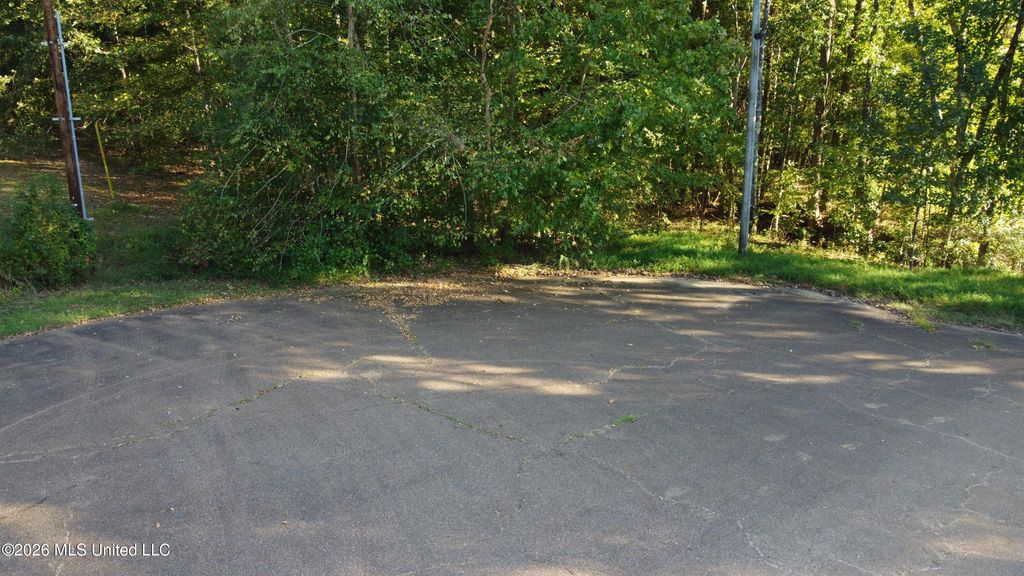 Scattered Oaks Cove, Byhalia, MS 38611 — photo 4
