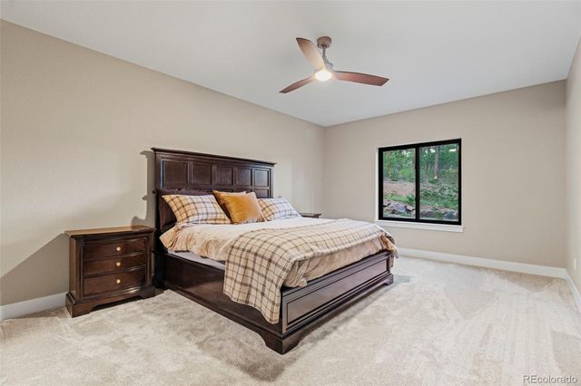 8280 Bannock Drive, Larkspur, CO 80118