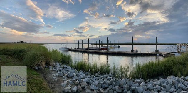 102 Egrets Way Lane, Richmond Hill, GA 31324