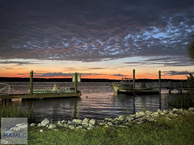 102 Egrets Way Lane, Richmond Hill, GA 31324