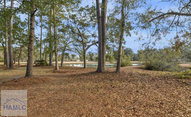 102 Egrets Way Lane, Richmond Hill, GA 31324