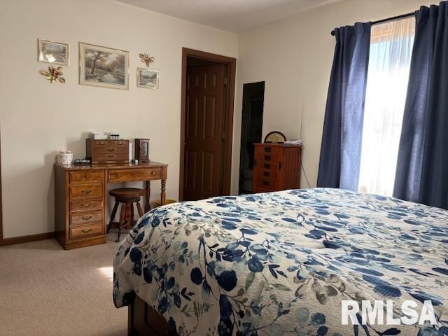 710 W DEAN Street, Virden, IL 62690