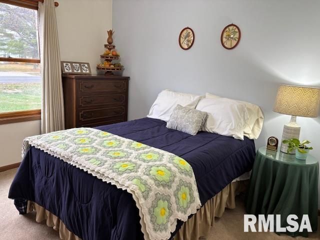 710 W DEAN Street, Virden, IL 62690