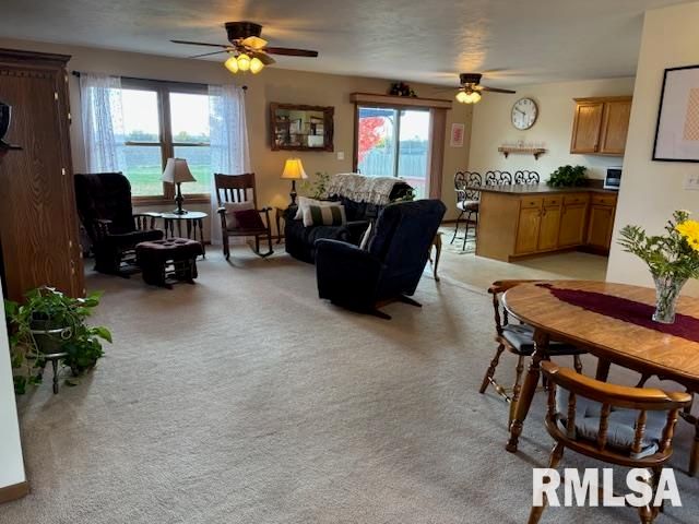 710 W DEAN Street, Virden, IL 62690