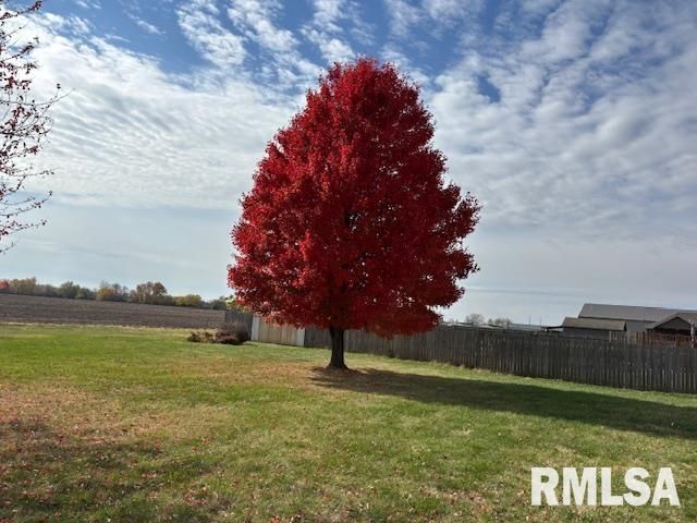 710 W DEAN Street, Virden, IL 62690