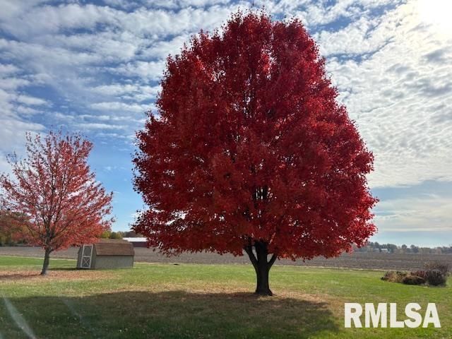 710 W DEAN Street, Virden, IL 62690