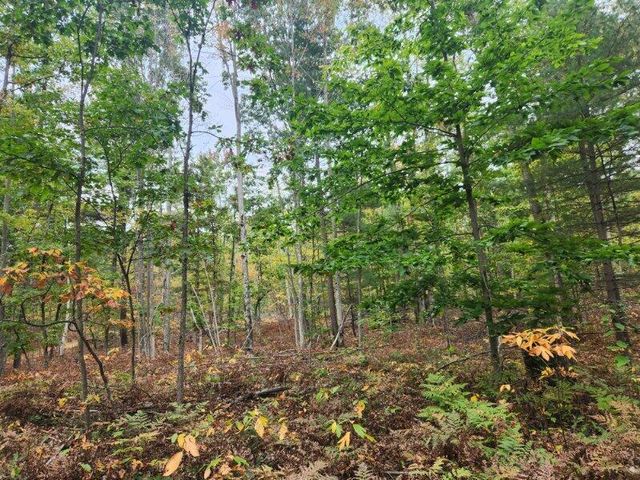 4869 E Free Soil Road, Free Soil, MI 49411