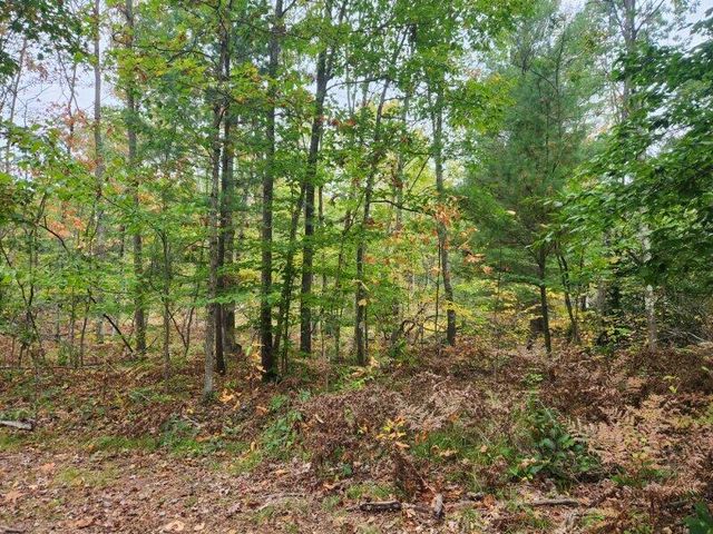 4869 E Free Soil Road, Free Soil, MI 49411