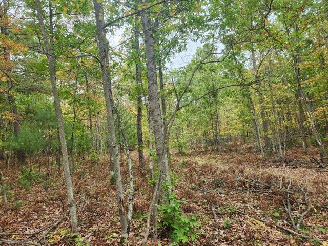 4869 E Free Soil Road, Free Soil, MI 49411