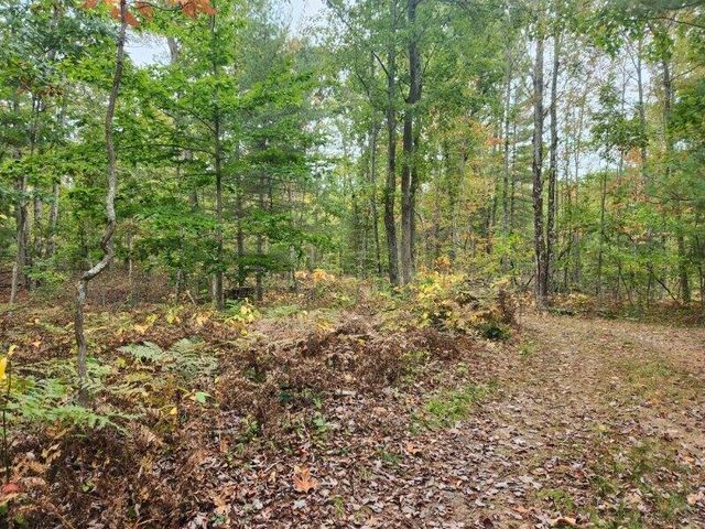 4869 E Free Soil Road, Free Soil, MI 49411