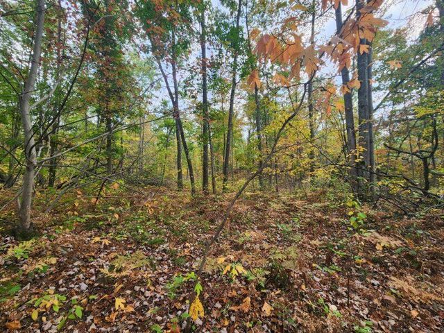 4869 E Free Soil Road, Free Soil, MI 49411