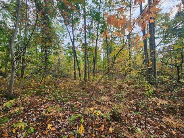 4869 E Free Soil Road, Free Soil, MI 49411