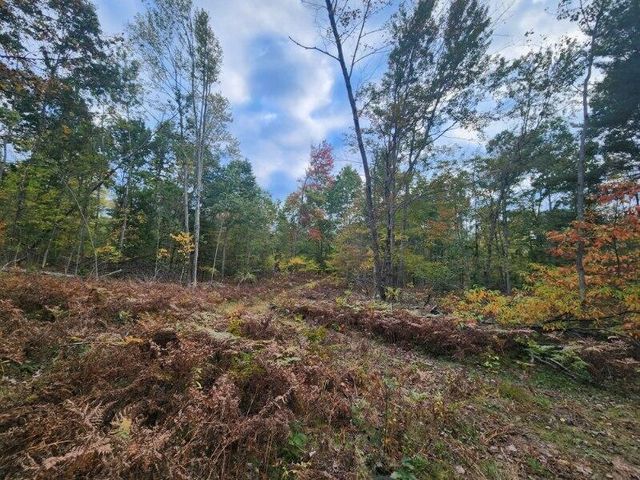 4869 E Free Soil Road, Free Soil, MI 49411