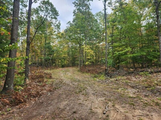 4869 E Free Soil Road, Free Soil, MI 49411