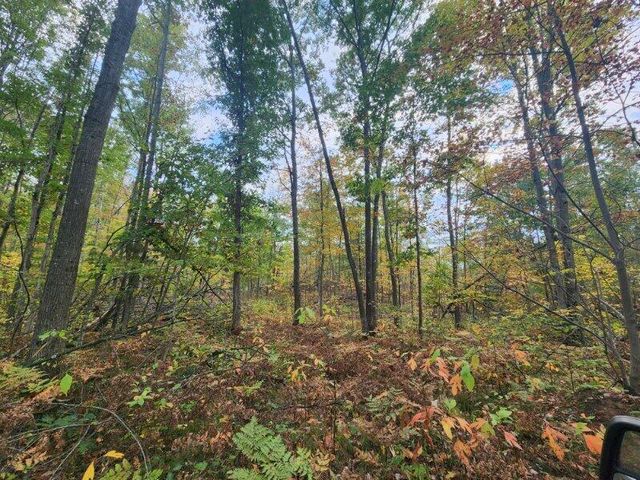 4869 E Free Soil Road, Free Soil, MI 49411