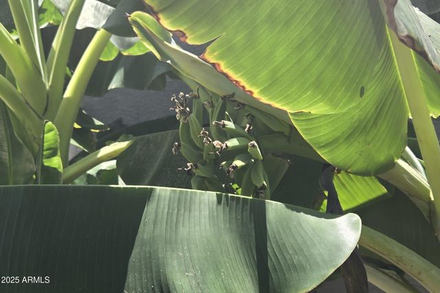 4018 E HARRISON Street, Gilbert, AZ 85295