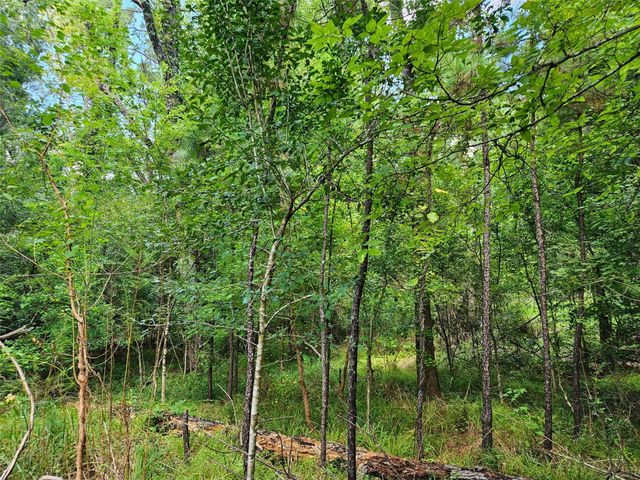 Lot 757 Thornwood Drive, Coldspring, TX 77331