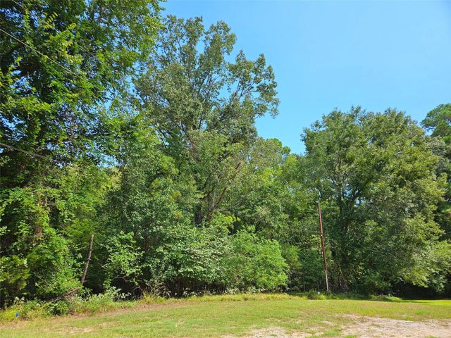 Lot 757 Thornwood Drive, Coldspring, TX 77331