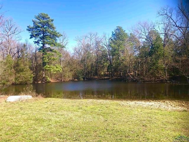 195 CR 1772, Jefferson, TX 75657