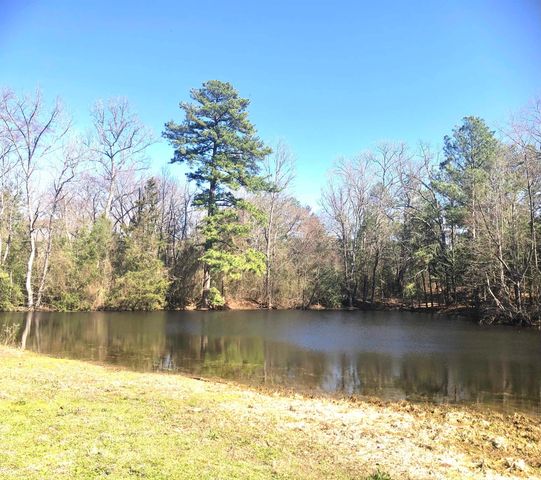 195 CR 1772, Jefferson, TX 75657