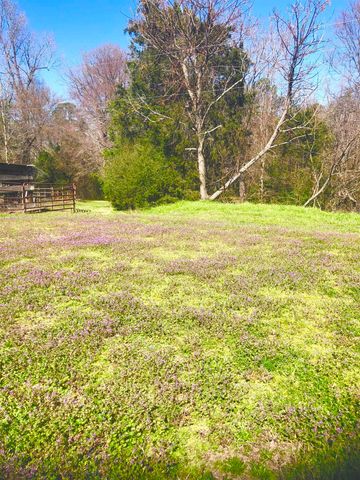 195 CR 1772, Jefferson, TX 75657