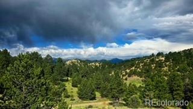 333 Della Fox Lane, Westcliffe, CO 81252