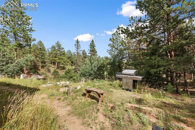 410 Rangeview Road, Divide, CO 80814