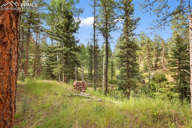 410 Rangeview Road, Divide, CO 80814