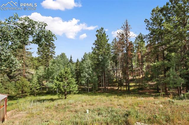 410 Rangeview Road, Divide, CO 80814