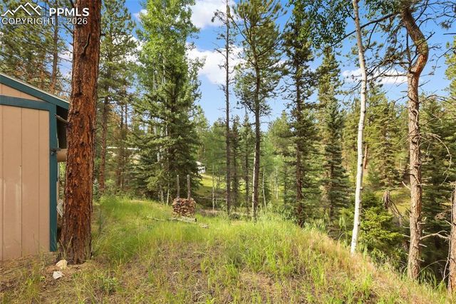 410 Rangeview Road, Divide, CO 80814