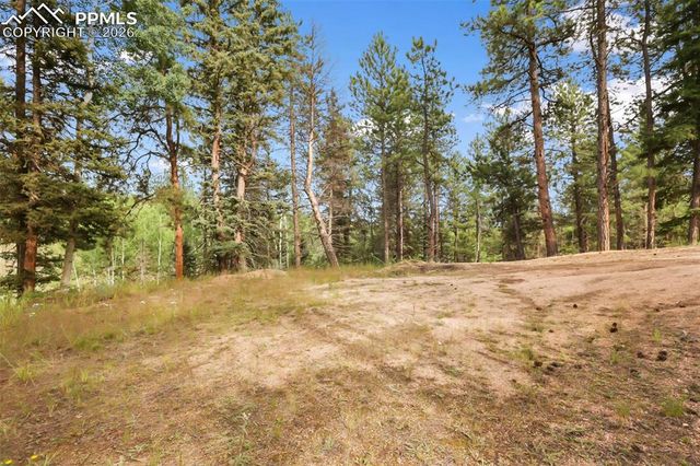 410 Rangeview Road, Divide, CO 80814