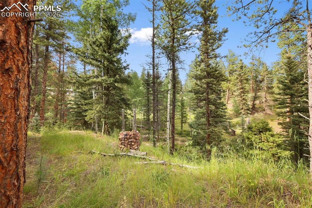 Image 16 of property listing at 410 Rangeview Road, Divide, CO 80814