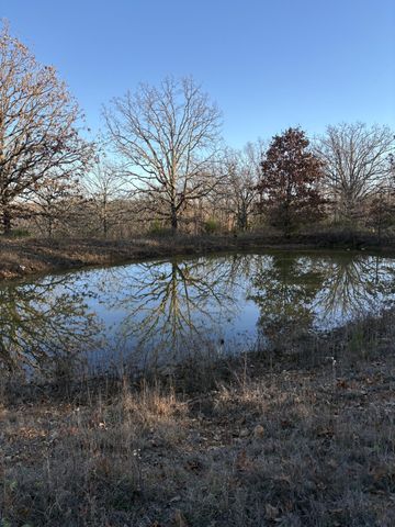 2179 Cantrell Road, Mansfield, MO 65704