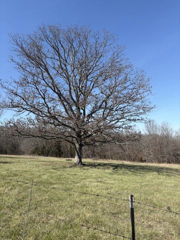 2179 Cantrell Road, Mansfield, MO 65704