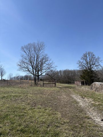 2179 Cantrell Road, Mansfield, MO 65704