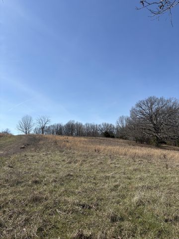 2179 Cantrell Road, Mansfield, MO 65704