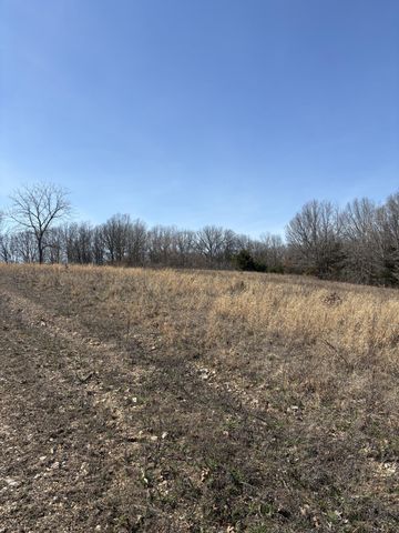 2179 Cantrell Road, Mansfield, MO 65704