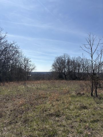 2179 Cantrell Road, Mansfield, MO 65704