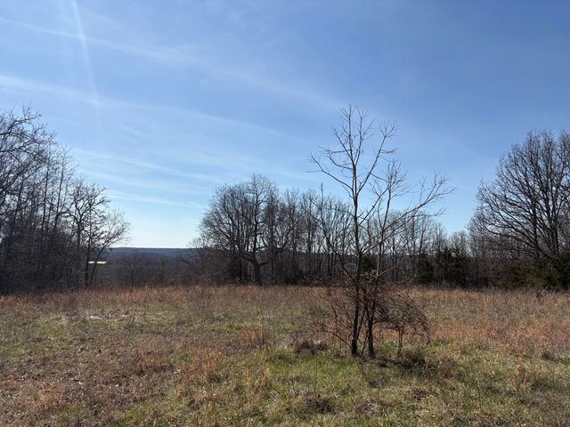 2179 Cantrell Road, Mansfield, MO 65704