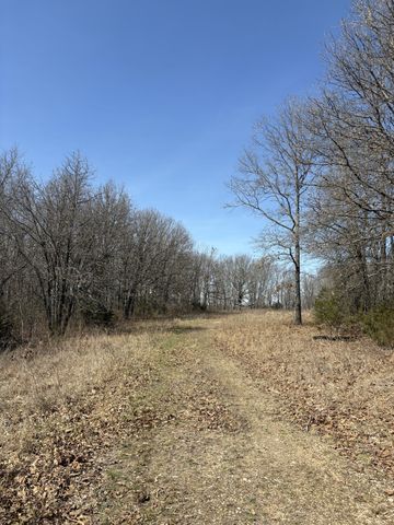 2179 Cantrell Road, Mansfield, MO 65704