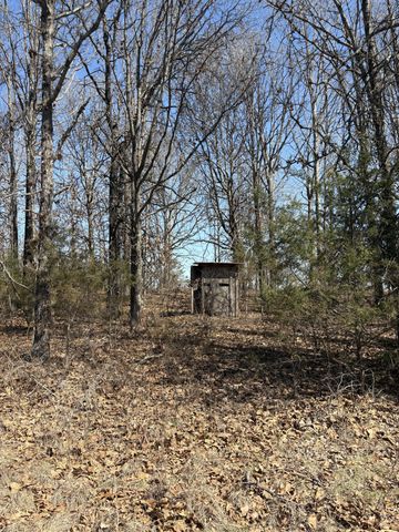 2179 Cantrell Road, Mansfield, MO 65704