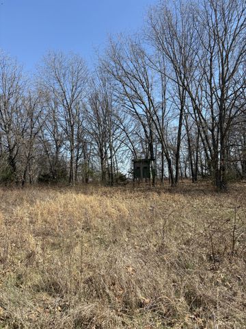 2179 Cantrell Road, Mansfield, MO 65704