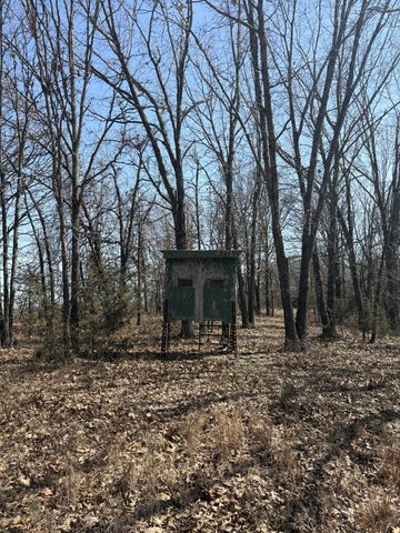 2179 Cantrell Road, Mansfield, MO 65704