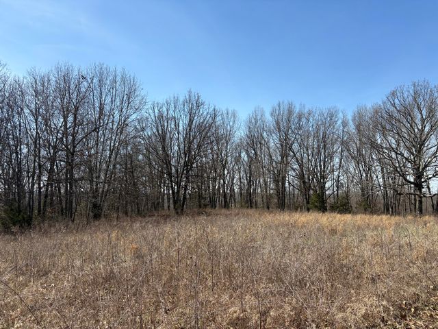 2179 Cantrell Road, Mansfield, MO 65704