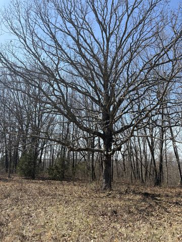 2179 Cantrell Road, Mansfield, MO 65704